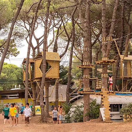 Glamping Lüks kamp alanı
